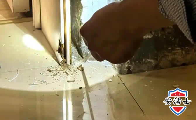 宝山区房屋建筑防治白蚁