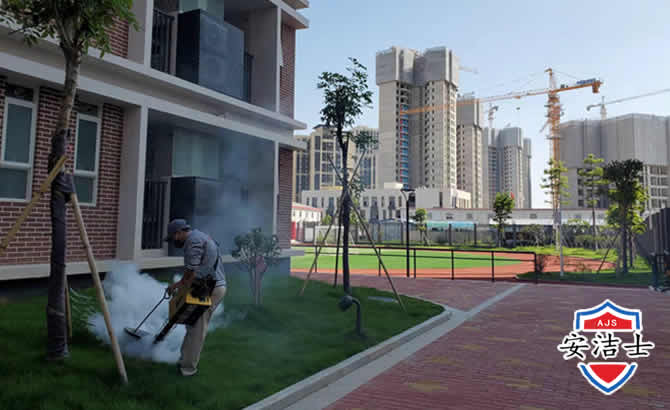 宝山区工厂工地除白蚁