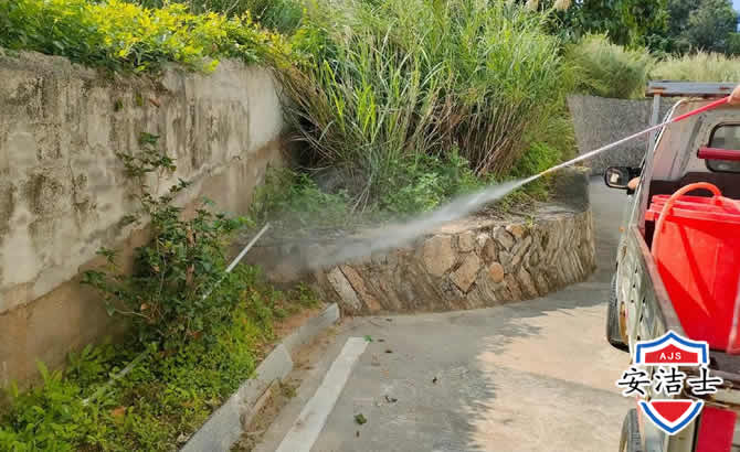 宝山区道路堤坝白蚁防治
