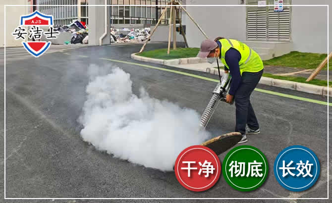 宝山区消杀防疫现场