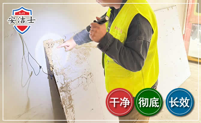 宝山区除白蚁现场